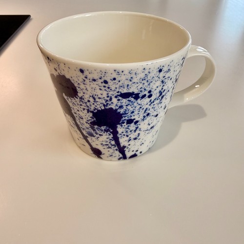 Royal doulton pacific - royal, splash