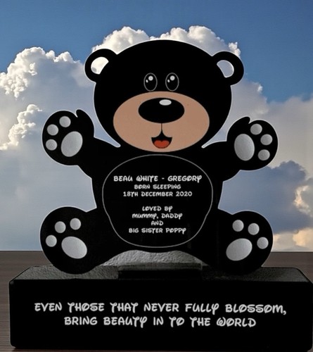 Baby boys teddy plinth - teddy, on