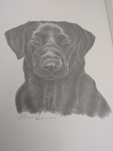 Framed original pencil sketch - original,