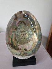 Natural Abalone Shell with
