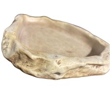 Exo Terra Large Terrarium Reptile Water Dish Hermit Crab Reptile Food Bowl