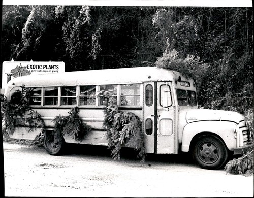 Ld403 1974 original ron - ld403,