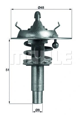 Thermostat coolant fits - thermostat,