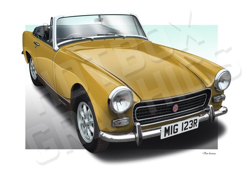 Midget austin healey sprite - midget,