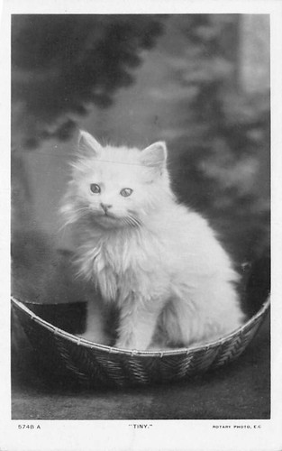 Family history postcard - family,