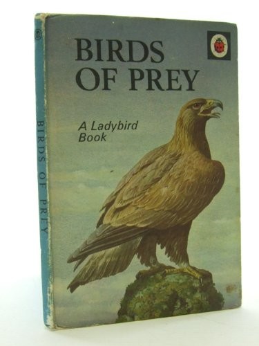 Birds prey natural - birds, of