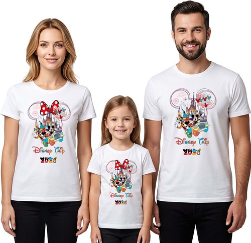 Disney family holiday - holiday, tour