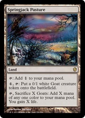 Mtg springjack pasture - springjack,