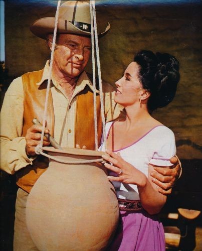 The high chaparral unsigned - chaparral,