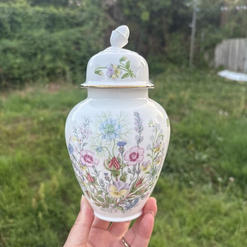 Aynsley wild tudor fine - wild,