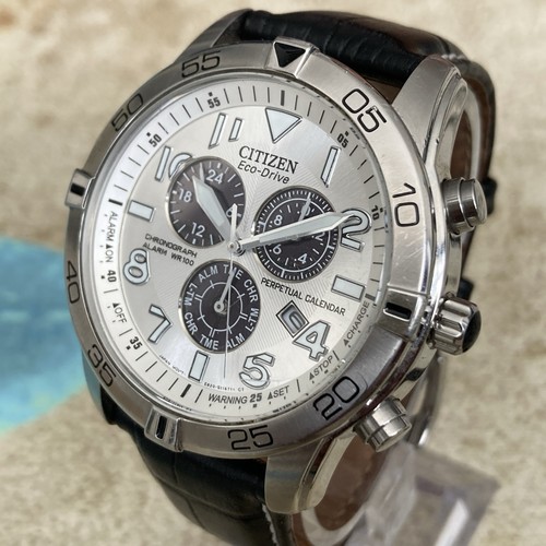 Citizen eco drive perpetual - citizen,