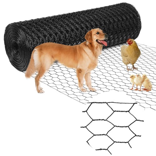 Chicken wire fencing - chicken,