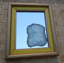 Wood Framed Daisy Flower