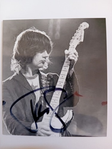 John squire stone roses - squire,