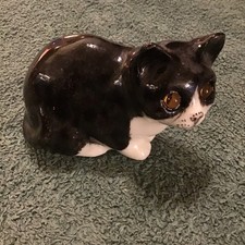 Winstanley black + white kitty