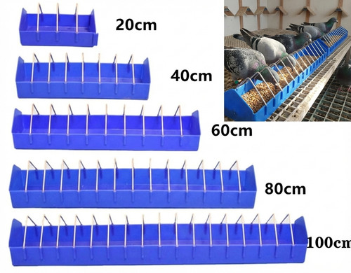 Racing pigeon feeder with - racing,