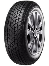 195/50R15 GT Radial Winter Pro