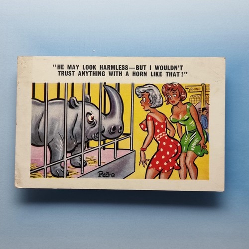 Comic postcard rhino horn zoo - horn,