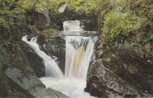 Vintage pecca twin falls - vintage,