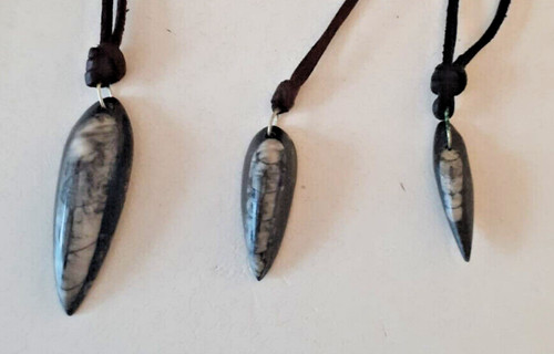 Orthoceras fossil gemstone - orthoceras,