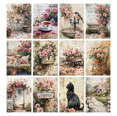 Rose garden new size - ,