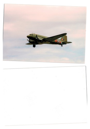 Photograph vintage military - photograph,