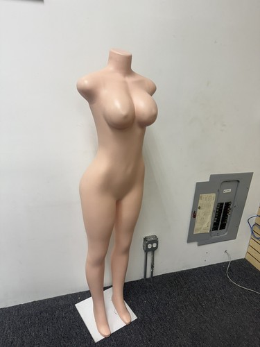 Female mannequin brazilian bbl - female,