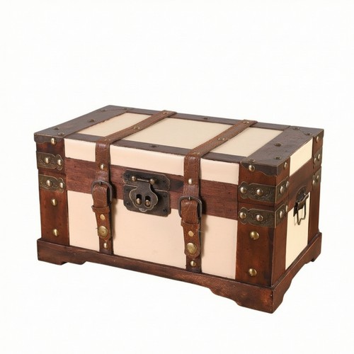 Storage trunk with - trunk, straps