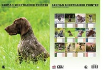 German Shorthaired Pointer 2026 Calendar - A3 Size 30 x 42 cm