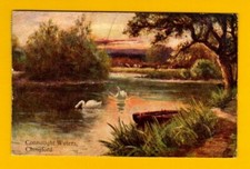 017101  Postcard  CHINGFORD