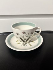 Alfred Meakin Cup And Saucer