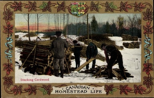 Mat postcard canada homestead - canada,,
