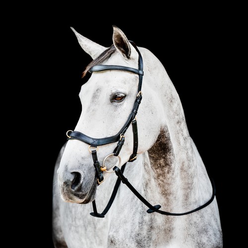 Horseware micklem multi - horseware,