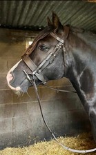 ✨✨SUPER SOFT ANATOMICAL