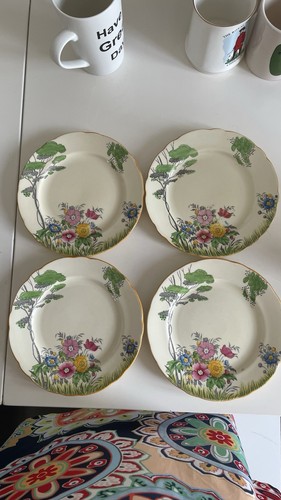 Royal cauldon veronique set - veronique,