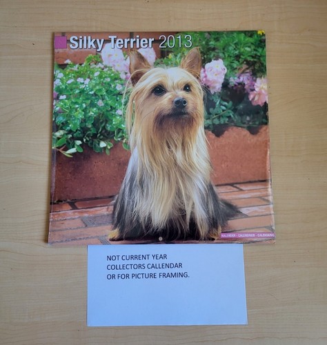 2013 silky terrier x 30cm - ,