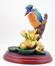 Border Fine Arts ~ Birds ~