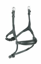 Shires Velociti Rolled Padded