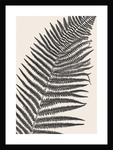 Majestic fern fronds print - fronds,