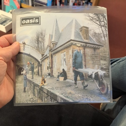 Oasis some might say - oasis,