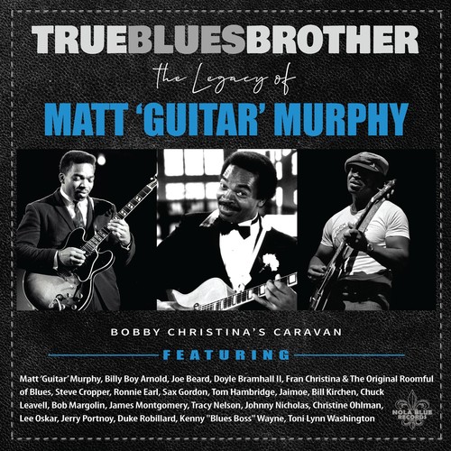 Diverse true blues brother - blues,