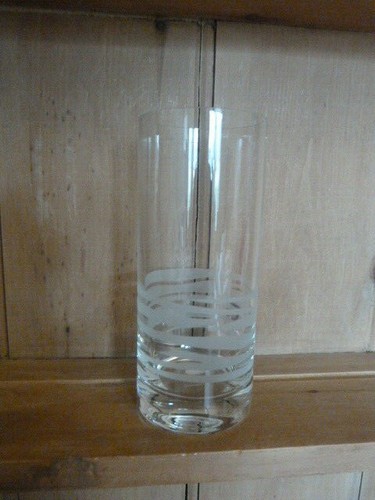 Leonardo etched glass - leonardo, vase,