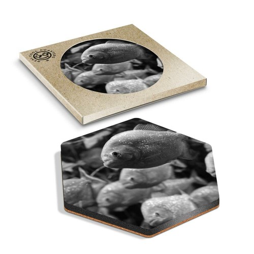 Hexagon coaster bw - 1,