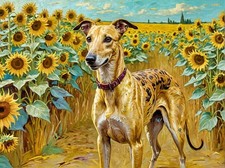 Greyhound Whippet Sunflowers