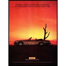 1989 Pirelli Tires Jaguar XJS