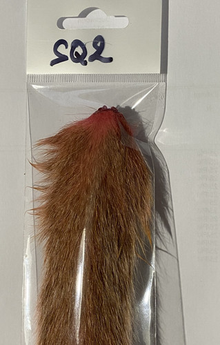 Bleached squirrel tail with - squirrel,