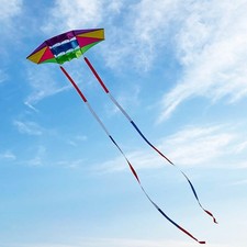 3D Kite Multicolor Traction