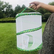 Cage Folding Butterfly