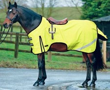 Horse Exercise Sheet Rug