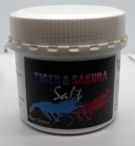 Tiger sakura - tiger,